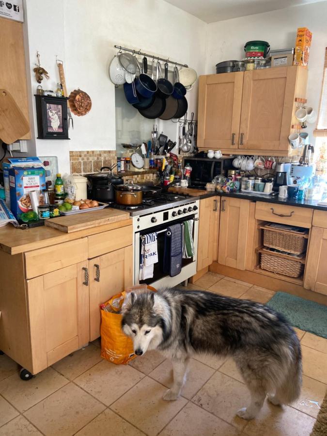 Comfy Cosy Little Room Tv Fridge Microwave Upton (Merseyside) Exterior foto